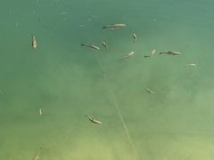 -广州市流溪河国家森林公园