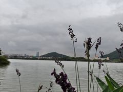 -顺峰山公园