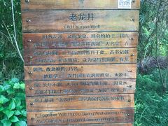-十八棵（老龙井）御茶园(老龙井店)