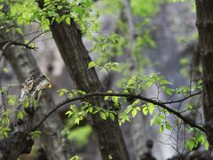 -黑龙潭风景区