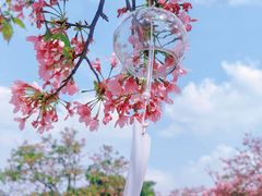 -宝墨园景区