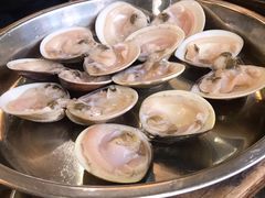 白贝-渔米粥(罗湖店)
