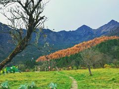 -硗碛藏寨·神木垒景区