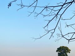 -龙坞茶村