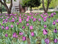 -长春公园(普阳街道)