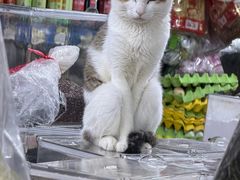 -丹桂轩(罗湖火车站店)
