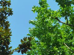 -上海市第一人民医院(松江南部)