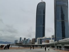-演武大桥观景平台
