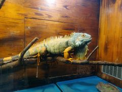 -洛阳龙门海洋馆