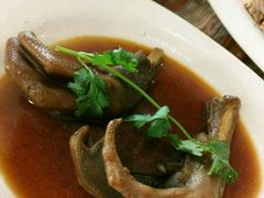 -椿记烧鹅(叠彩店)