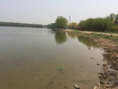 -大兴滨河森林公园