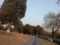-九科绿洲