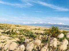 -青海湖国家重点风景名胜区