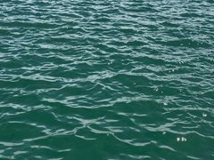 -海驴岛(荣成市)