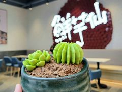 -鲜芋仙(中环百联2店)