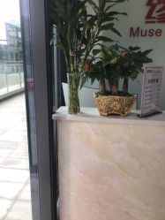 -缪斯造型Muse style