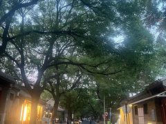-北京国子监胡同