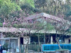 -天怡·鱼工厂(梅溪湖店)