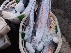 -硇洲岛旅游区