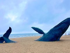 -烟台金沙滩海滨公园