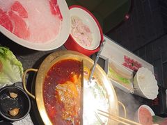 -九鼎轩脆毛肚火锅(南京东路店)