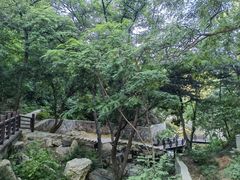 -北京西山国家森林公园