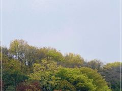 -菊花台公园
