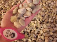 -云龙洗浴商务酒店