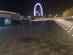 -南京眼步行桥