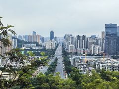 -板樟山森林公园