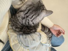 -共舞时光猫咖·狗咖(新街口店)