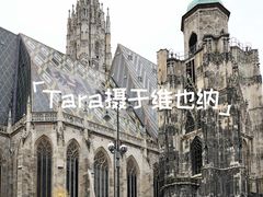 -斯蒂芬主教座堂(Stephansdom)