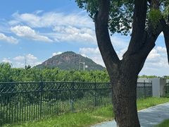 -老袁家蜜桃农场·阳山水蜜桃