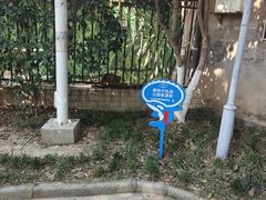 -喷泉公园