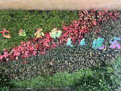 -德宏芒市国际机场