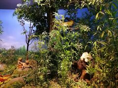 -陕西自然博物馆