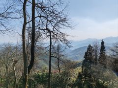 -莫干山风景区