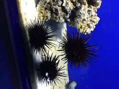 龙门海洋馆-洛阳龙门海洋馆