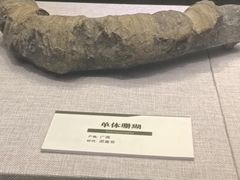 -浙江自然博物院(杭州馆)