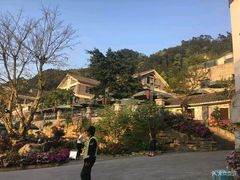 -老幺泉水鸡
