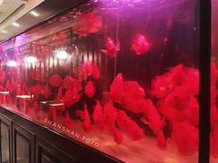 -泉味道贵州厨房(三里河店)