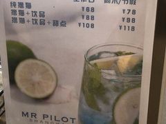 -飞行喵MR PILOT|猫舍·猫咖(静安大融城店)