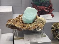 -湖南省地质博物馆