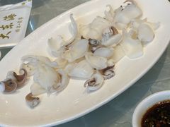 墨鱼-大东海海鲜酒楼(渔人码头总店)