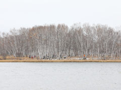 -御道口草原森林风景区