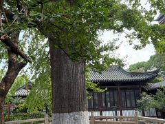 -常熟方塔园