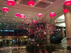 -南京维景国际大酒店(南京博物院店)