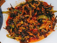 -俭寨大盘鸡·缸子肉·小公鸡·新疆菜(云通店)
