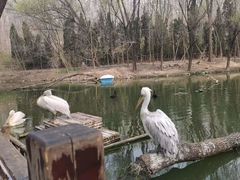 -济南野生动物世界