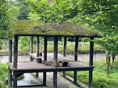 -中国大熊猫保护研究中心雅安碧峰峡基地